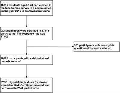 Vulnerable Plaque Is More Prevalent in Male Individuals at High Risk of Stroke: A Propensity Score-Matched Study